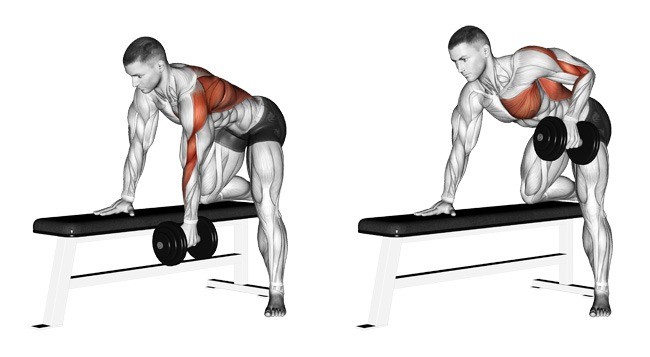 How to do a dumbbell row